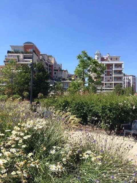 Property view 4